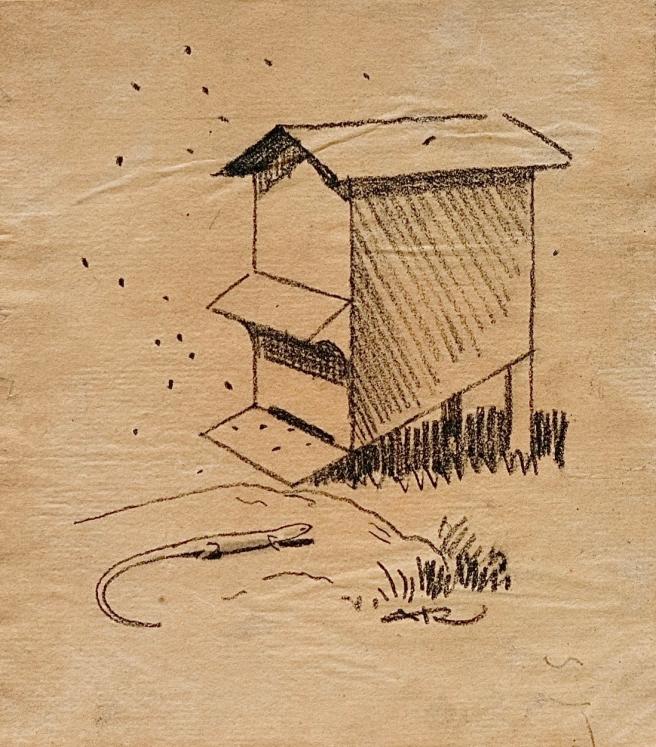 Auguste ROUBILLE - Dessin original - Crayon - La ruche et le lezard