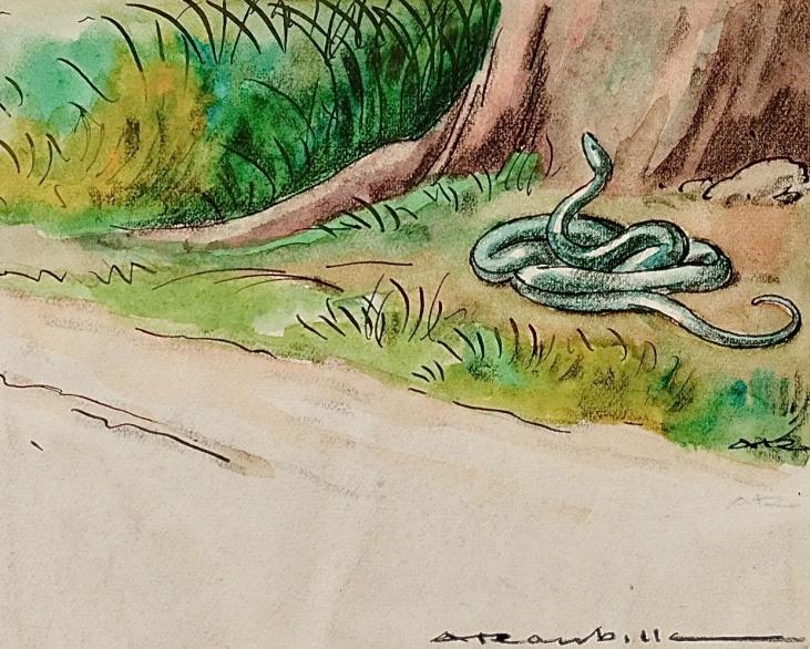 Auguste ROUBILLE - Peinture originale - Aquarelle - Serpent en nature 2