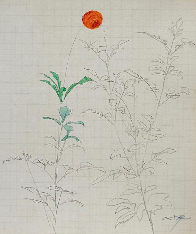 Auguste ROUBILLE - Dessin original - Crayon - Fleur 1