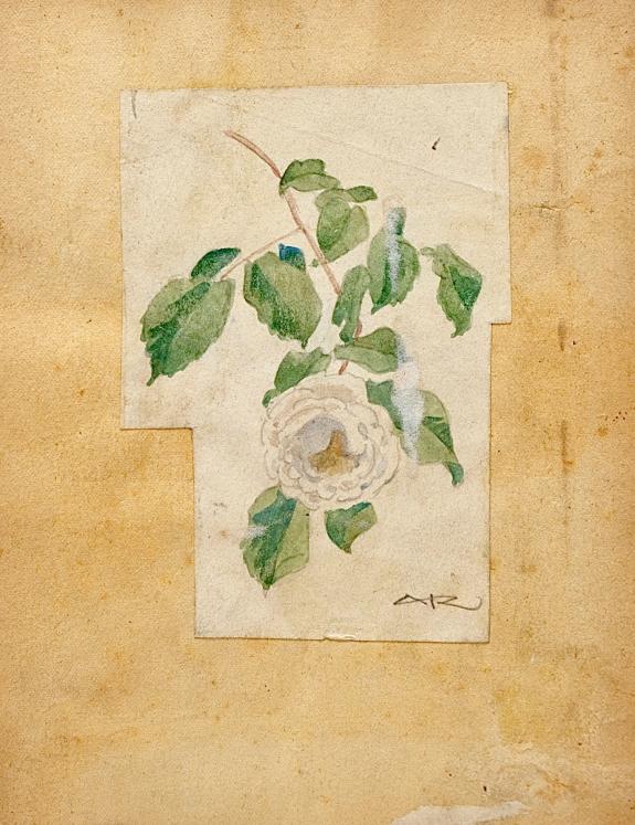 Auguste ROUBILLE - Peinture originale - Aquarelle - Etude de Fleurs 10