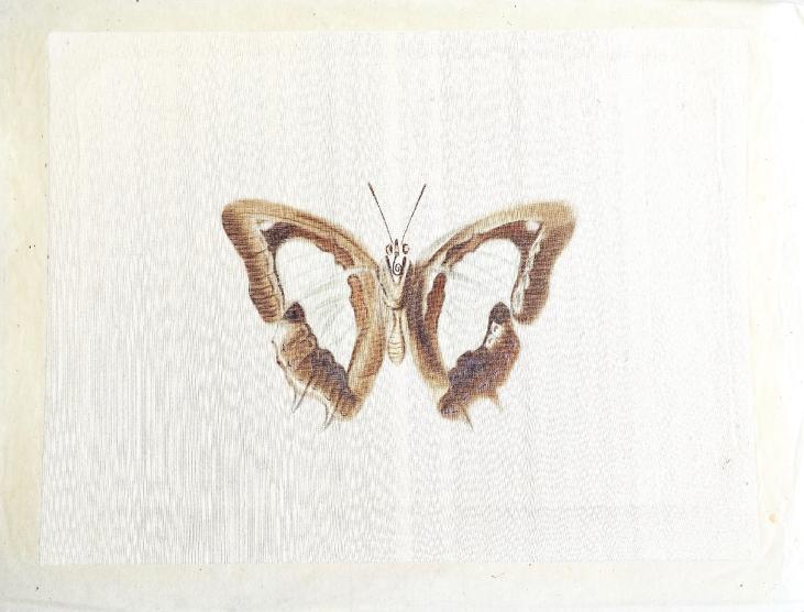 LA ROCHE LAFFITTE - Peinture originale - Aquarelle -  Papillon marron 2