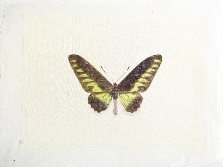 LA ROCHE LAFFITTE - Peinture originale - Aquarelle -  Papillon vert