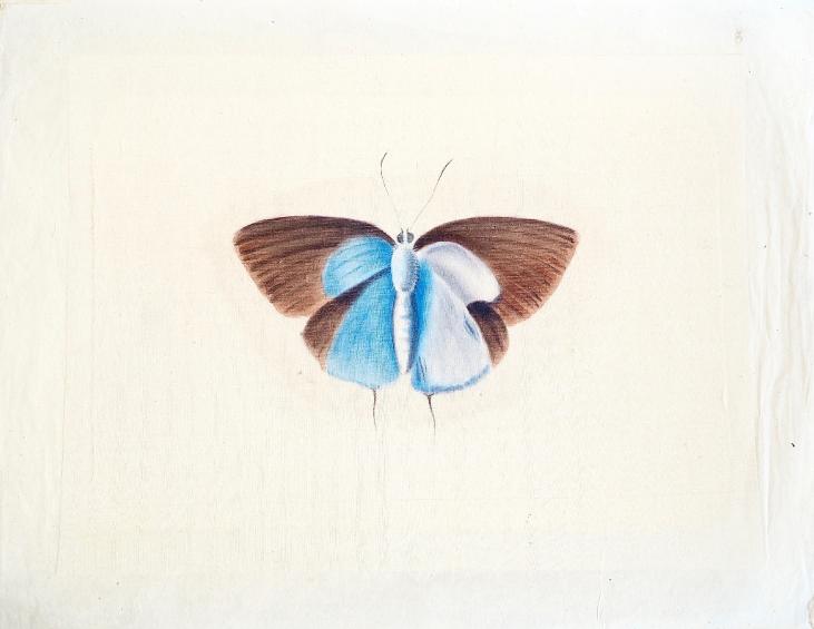 LA ROCHE LAFFITTE - Peinture originale - Aquarelle -  Papillon bleu