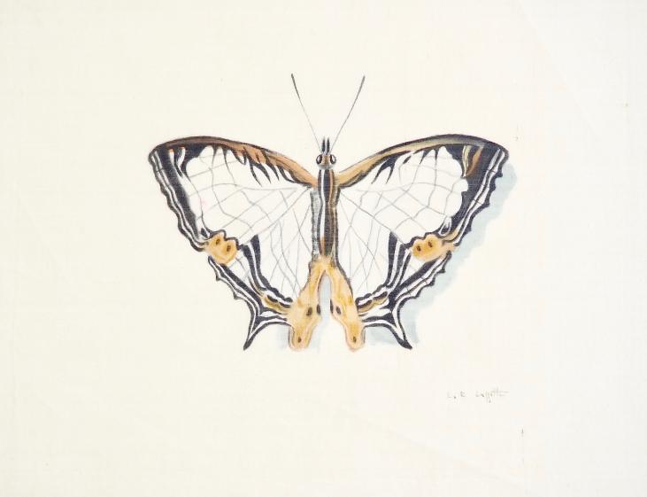 LA ROCHE LAFFITTE - Peinture originale - Aquarelle -  Papillon 1