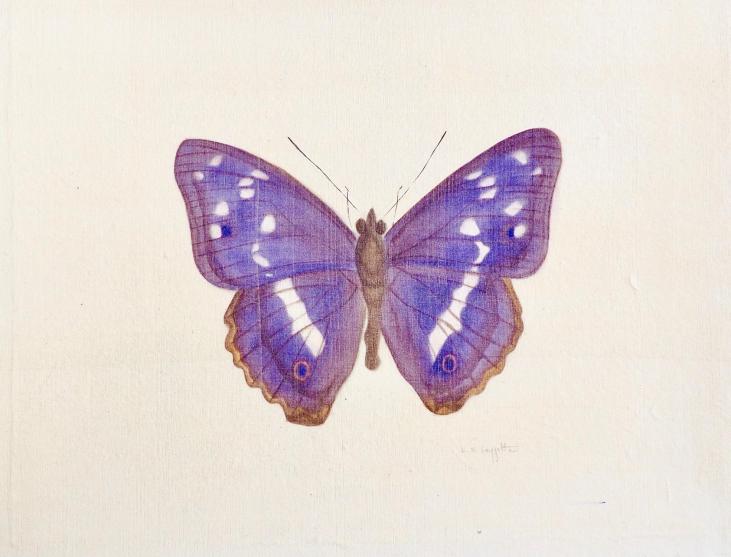LA ROCHE LAFFITTE - Peinture originale - Aquarelle - Papillon bleu