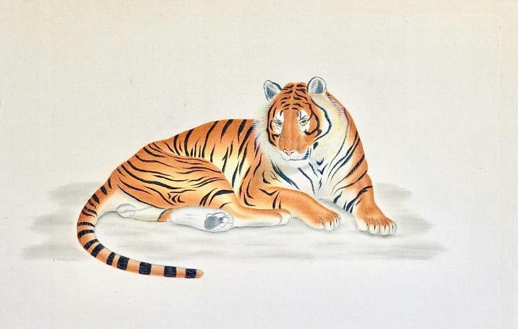 LA ROCHE LAFFITTE - Peinture originale - Aquarelle - Tigre 2