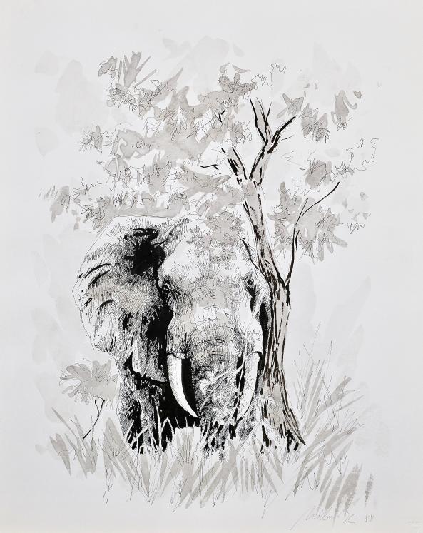 Jean-Claude LÉONARD MICHEL - Estampe - Lithographie - Éléphant
