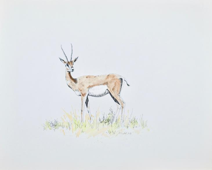 Jean-Claude LÉONARD MICHEL - Estampe - Lithographie - Antilope