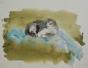 Janine JANET - Peinture originale - Aquarelle - Projet chat 1