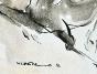 Claude VIETHO - Peinture originale - Aquarelle - Cheval