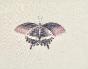 LA ROCHE LAFFITTE - Peinture originale - Aquarelle - Papillon 1