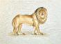 LA ROCHE LAFFITTE - Peinture originale - Aquarelle - Lion