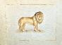 LA ROCHE LAFFITTE - Peinture originale - Aquarelle - Lion