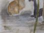 Edouard RIGHETTI - Peinture originale - Aquarelle - Lama