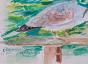 Edouard RIGHETTI - Peinture originale - Aquarelle - L'oiseau buvant