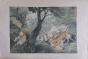 La Roche LAFFITTE - Peinture originale - Aquarelle - Attaque du tigre