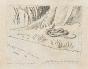 Auguste ROUBILLE - Dessin original - Crayon - Serpent en nature 1