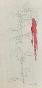 Auguste ROUBILLE - Dessin original - Crayon - Etude d'amarante 1