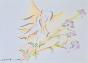 Claude VIETHO - Peinture originale - Aquarelle - Colombe