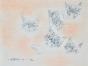 Claude VIETHO - Dessin original - Crayons - Etude de chat