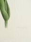 LA ROCHE LAFFITTE - Peinture originale - Aquarelle - Tulipe 5
