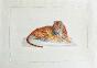 LA ROCHE LAFFITTE - Peinture originale - Aquarelle - Tigre