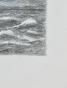 Armel DE WISMES - Dessin Original - Crayons - Vol au dessus des vagues