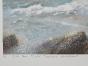 Francois D'IZARNY - Estampe originale - Lithographie - La tempête