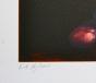 Bernard JOBIN - Estampe originale - Lithographie - Coupe de fruits