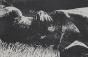DUBIGEON Loic- Lithographie originale signée- Jeune femme nue dans l'herbe
