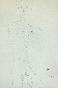 Egon SCHIELE - Estampe - Lithographie - Standing Male Nude, 1912
