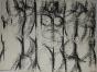 Isa PIZZONI - Estampe originale - Lithographie - Les trois nues
